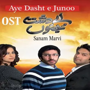 Aye Dasht E Junoo (From Aye Dasht E Junoo) image