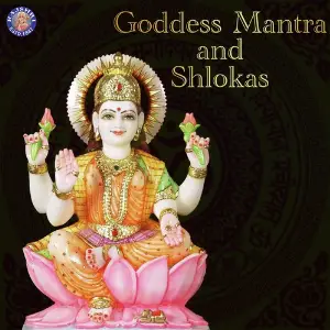 Goddess Mantra and Shlokas image