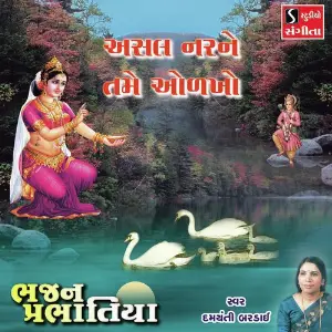 Asal Nar Ne Tame Odkho image