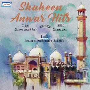 Shaheen Anwar Hits image