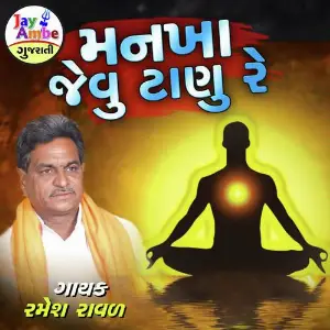 Mankha Jevu Tanu Re image