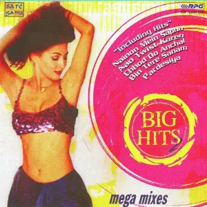 Big Hits - 2 Various Artists