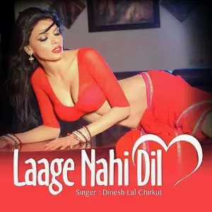Laage Nahi Dil image