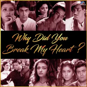 Why Did You Break My Heart Various Artists