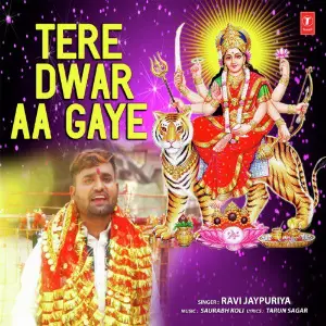 Tere Dwar Aa Gaye image