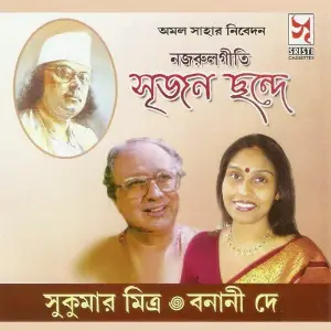 Srijan Chhande image