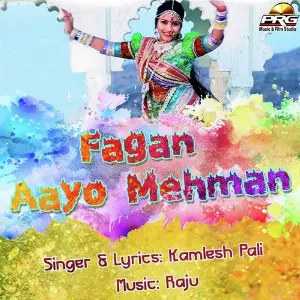 Fagan Aayo Mehman image