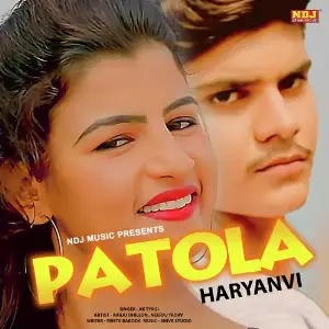 Patola Haryanvi image