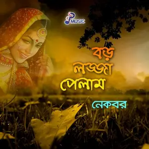 Boro Lojja Pelam image