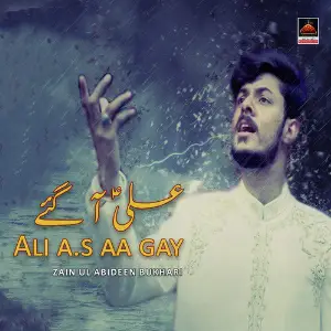 Ali A.s Aa Gay image