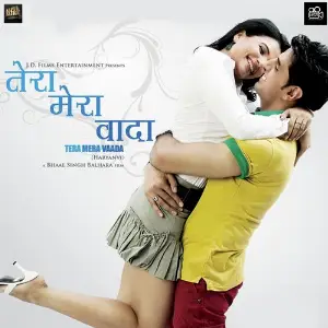 Tera Mera Vaada image