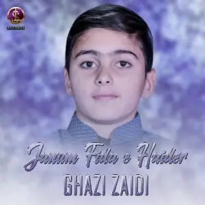 Janum Fida E Haider - Single image
