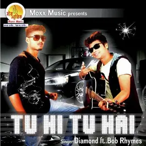 Tu Hi Tu Hai Cover image