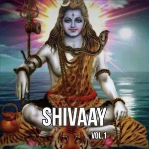 Shivaay, Vol. 1 image