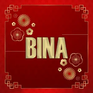 Bina image