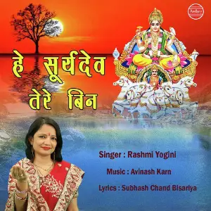 Hey Surya Dev Tere Bin image