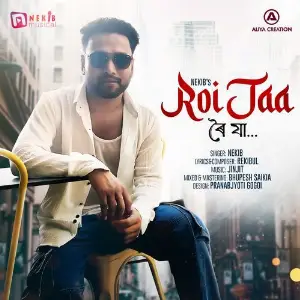Roi Jaa image