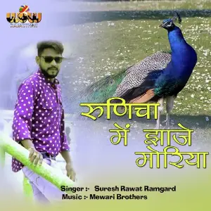 Runicha Me Jhaje Morya image