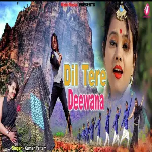 Dil Tere Deewana image
