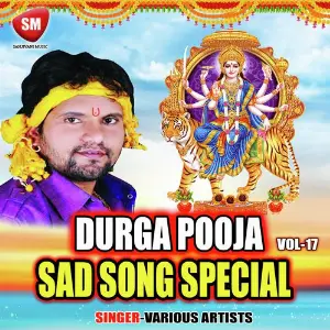 Durga Puja Sad Song Special Vol-17 image