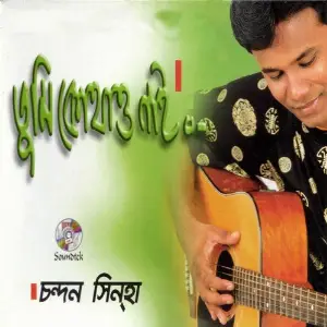 Tumi Kothao Nai image