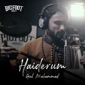 Haiderum image