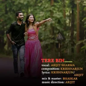 Tere Bin image