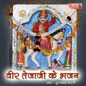 Veer Tejaji Ke Bhajan image