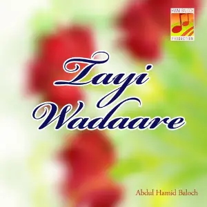 Tayi Wadaare image