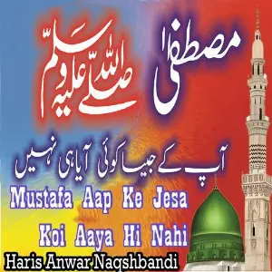 Mustafa Aap Ke Jesa Koi Aaya Hi Nahi image