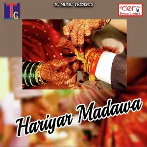 Hariyar Madawa Various Artists