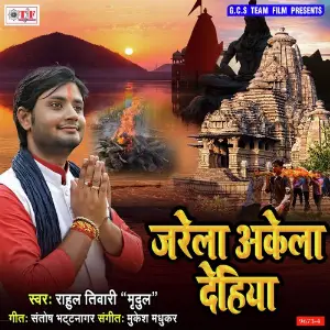 Jarela Akela Dehiya image