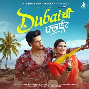 Dubai Chi Flight image