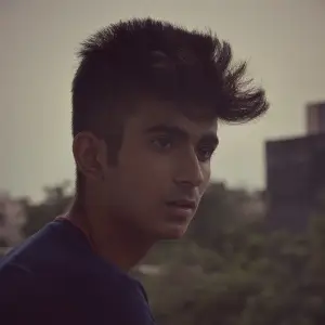Dilyehmera image