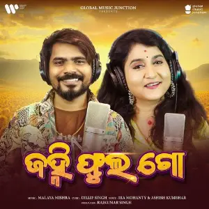 Janhi Phula Go image