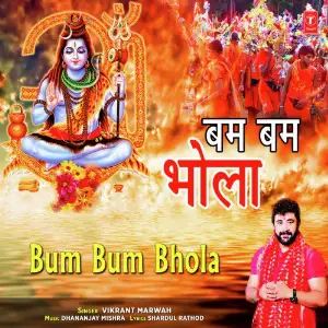 Bum Bum Bhola image