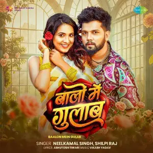 Baalon Mein Gulab image