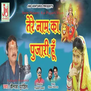 Tere Naam Ka Pujari Hun image