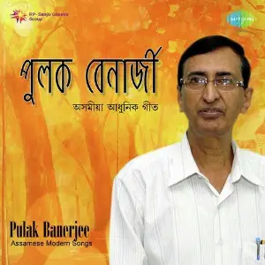 Pulak Banerjee Modern image