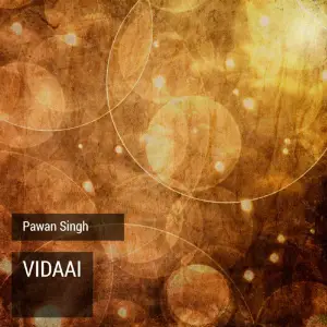 Vidaai image