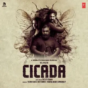 Cicada image