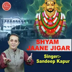 Shyam Jaane Jigar image