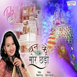 Banke Mor Chhadi image