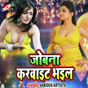 Jobna Karwait Bhail image