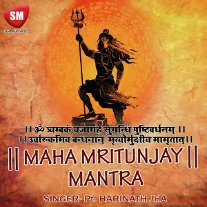 Maha Mrityunjay Mantra image