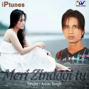 Meri Zindagi Tu image