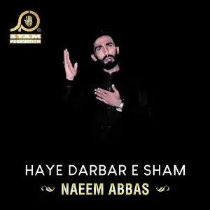 Haye Darbar E Sham image