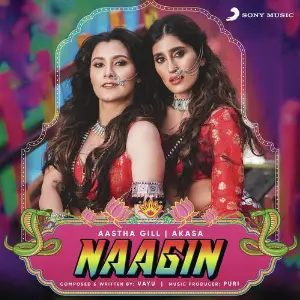 Naagin image