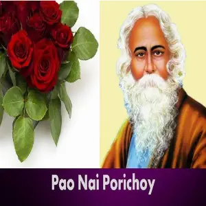Pao Nai Porichoy image