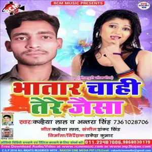 Bhatar Chahi Tere Jaisa image